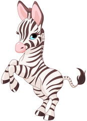Fototapeta na wymiar Cute baby zebra