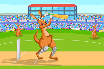 Kangaroo playing cricket