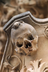 calavera de la universidad de salamanca