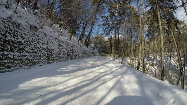 Winter road through forest, rear camera