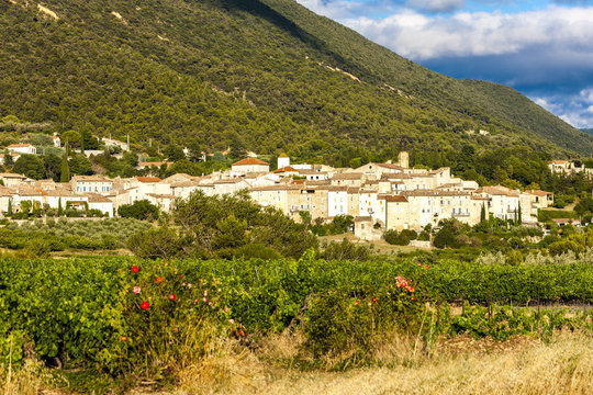 village Venterol with vineyard, Rhone-Alpes, France
