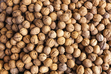 walnuts, market in Forcalquier, Provence, France