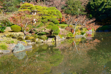 Autumn foliage in the Kyu-Furukawa Gardens, Tokyo