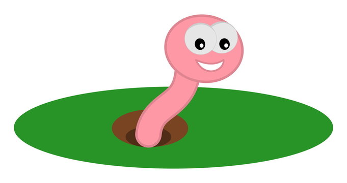 a worm coming out of its burrow