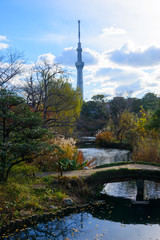 Obraz premium Tokyo Skytree and Mukojima-Hyakkaen Garden in autumn