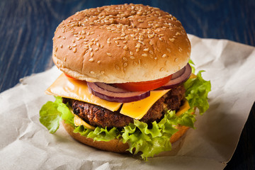 Hamburger on paper