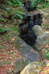 Autumn foliage in the Sankeien Garden, Yokohama, Kanagawa, Japan