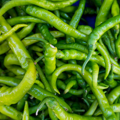 Fresh chilli peppers