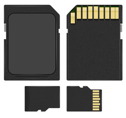 SD and microSD