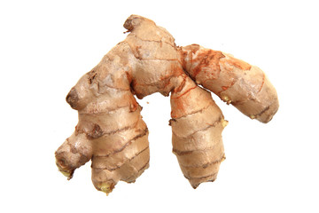 fresh ginger root isolated