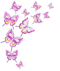 butterflies design