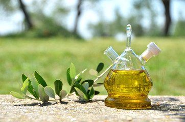 Bottle of olive oil in the olive grove. Sirmione, Italy