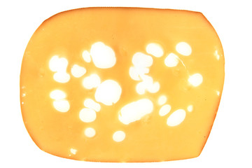 emental cheese isolated