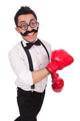 Funny boxer isolated on the white background