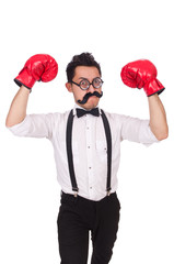 Funny boxer isolated on the white background