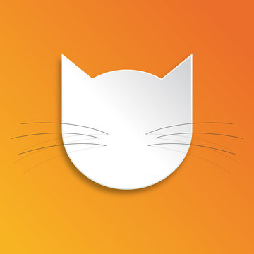 T&ecirc;te de chat / Cat's head