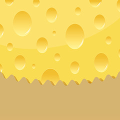 Vector cheese background