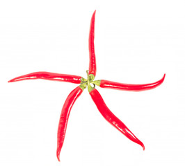 Star of chili peppers