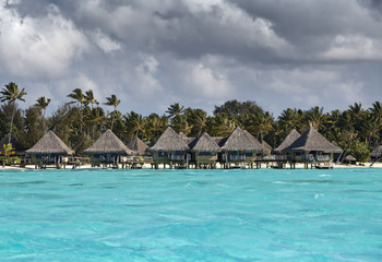 Polynesian landscape-seacoast with palm trees and small houses