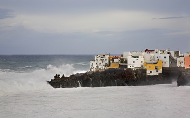 Punta Brava. Tenerife. Canary Islands. Spain © Andrey Shevchenko