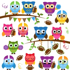 Fotobehang Vector Collection of Cute Football or Sports Themed Owls © pinkpueblo