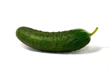 Cucumber/ an isolated cucumber