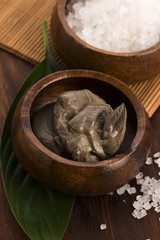 Dead Sea mud and salt in a bowl