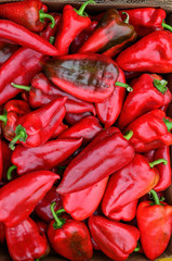 Red pepper