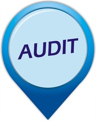bouton audit