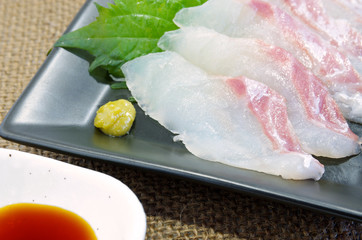 真鯛の刺身