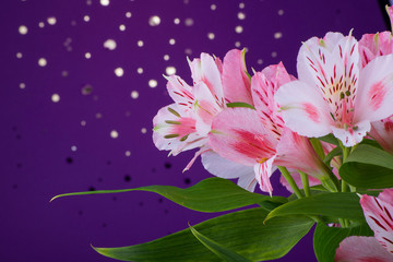 Bouquet of flowers alstroemeria