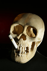 Obraz premium Smoking human scull with cigarette in his mouth