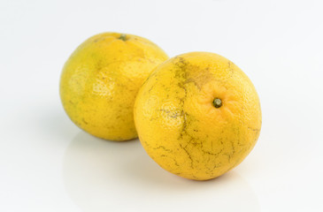 Orange fruit on white background