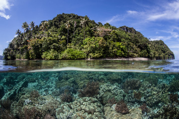 Tropical Island and Reef