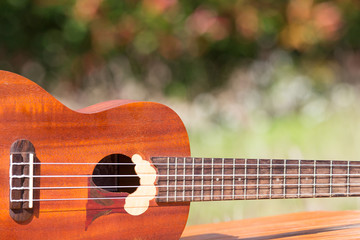 Fototapeta premium Ukulele on sunlight in garden background