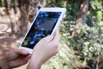 Woman hand holding digital tablet in the park