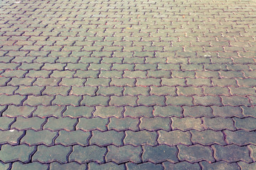 Fototapeta premium Brick pathway colorful in the park