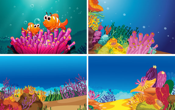 Underwater scenes