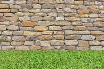 wall stone with plant