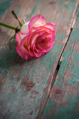 Romantic background.