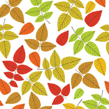Colored seamless pattern on leaves theme. Autumn seamless