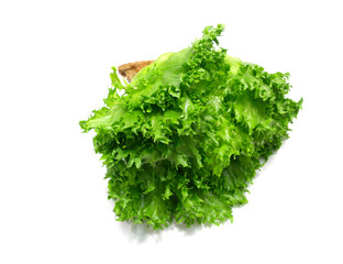 lettuce salad fragment on a white background