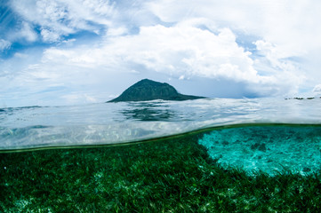 mountain over the sea view bunaken indonesia underwater photo