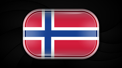 Norway. Vector Flag Button Series