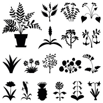 Set of stylized houseplants' silhouettes.