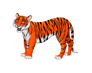 Poster Red cartoon tiger © ddraw