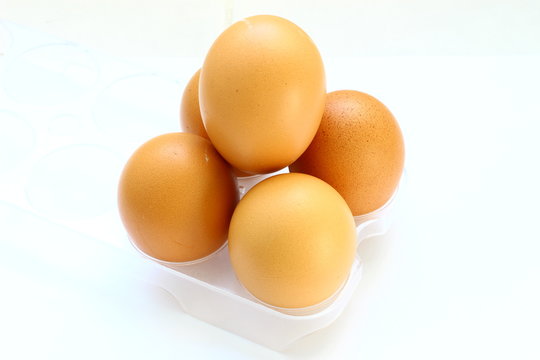 fresh eggs