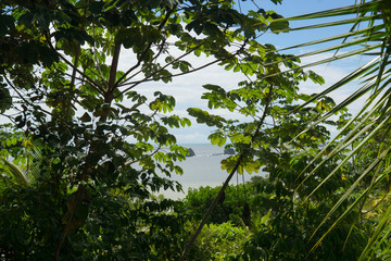 Fototapeta premium jungle et pacifique - Costa Rica