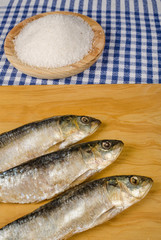 Salt preserved sardines