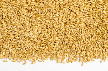 Haferkörner-Hintergrund